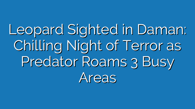 Leopard Sighted in Daman: Chilling Night of Terror as Predator Roams 3 Busy Areas