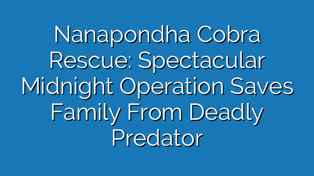 Nanapondha Cobra Rescue: Spectacular Midnight Operation Saves Family From Deadly Predator