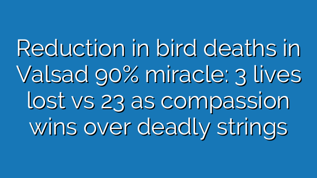 Reduction in bird deaths in Valsad 90% miracle:lives lost vs 23 as compassion wins over deadly strings