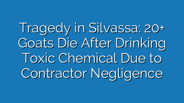 Tragedy in Silvassa: 20+ Goats Die After Drinking Toxic Chemical Due to Contractor Negligence