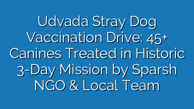 Udvada Stray Dog Vaccination Drive: 45+ Canines Treated in Historic 3-Day Mission by Sparsh NGO & Local Team