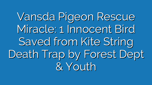Vansda Pigeon Rescue Miracle: 1 Innocent Bird Saved from Kite String Death Trap by Forest Dept & Youth